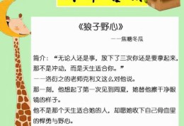 五本甜宠温馨的都市言情小说(好看的都市言情小说推荐超经典)