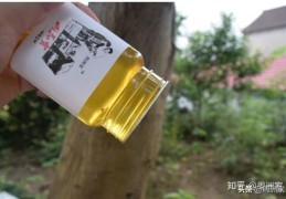 蜂蜜有泡沫是真还是假(纯蜂蜜有泡沫塑料好还是不好)