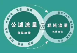 私域运营怎么做做私域内容营销的要点