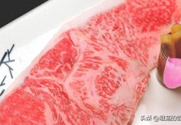 金枪鱼和三文鱼哪个贵(谁是最贵的食材？是三文鱼、金枪鱼还是牛肉)