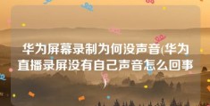 华为屏幕录制为何没声音(华为直播录屏没有自己声音怎么回事)