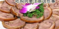 禁食狗肉的正确方法和注意事项(是否禁食狗肉引热议)