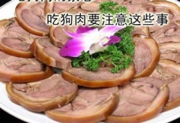 禁食狗肉的正确方法和注意事项(是否禁食狗肉引热议)