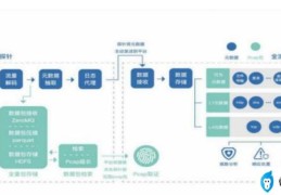 中国新兴流量与分析技术(网络流量监测分析系统)