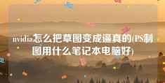 nvidia怎么把草图变成逼真的(PS制图用什么笔记本电脑好)