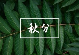 秋分是什么意思含义(秋分,是什么意思)