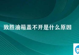 致胜油箱盖不开是什么原因(油箱盖无法正常开启怎么办)