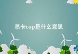 显卡top是什么意思(显卡Top)