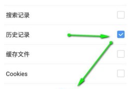 历史记录怎么查(浏览器历史记录查询方法)