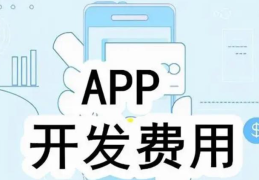 app开发费用一览表(做个app的费用大概多少钱)