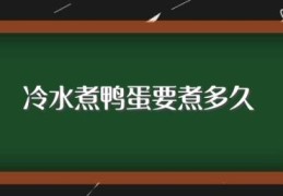 冷水煮鸭蛋要煮多久(冷水煮鸭蛋要煮多长时间)