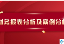 企业财务报表分析论文(财务报表分析范文)