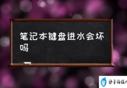 笔记本键盘进水会坏吗(键盘进水的正确处置办法？)