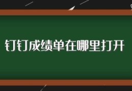 钉钉成绩单在哪里打开(钉钉钉盘文件在哪里)