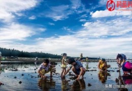 我想去鲅鱼圈玩,有什么好地方吗(鲅鱼圈潮汐表)