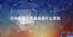 方向机助力泵漏油是什么原因(方向机助力泵漏油的原因及解决方法)