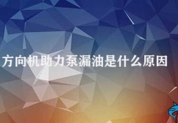 方向机助力泵漏油是什么原因(方向机助力泵漏油的原因及解决方法)