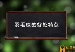 打羽毛球有什么好处？(羽毛球的好处特点)