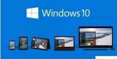 Windows中IE11提示已停止工作怎么办