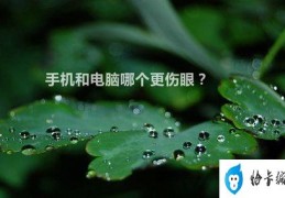 不伤眼睛的电脑(如何选择眼睛友好型电脑)