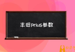 prius是地名吗？(丰田prius参数)