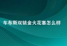 车布斯双铱金火花塞怎么样(车布斯双铱金火花塞的性能与口碑如何)