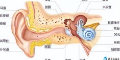 骨传导耳机对大脑危害有哪些（公认音质好的骨传导耳机）