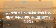 oppo手机文件管理中的云盘怎么用(OPPO手机如何将云盘相片传至U盘)