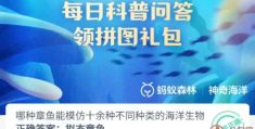 哪种章鱼能模仿十余种不同种类的海洋生物(神奇海洋11月3日答案)