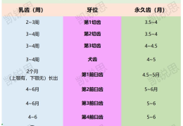 猫咪换牙顺序图解(猫咪换牙需要注意什么)