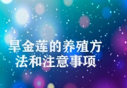 旱金莲的养殖方法和注意事项(金莲养殖技术)