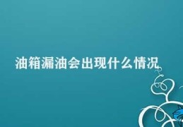 油箱漏油会出现什么情况(油箱漏油会对车辆造成的影响)