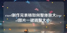 excel制作完表格如何整体放大(excel图片一键调整大小)