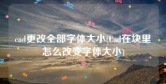 cad更改全部字体大小(Cad在块里怎么改变字体大小)