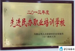 民办职业培训学校申请报告(民办职业培训学校换发办学许可证申请表模板)