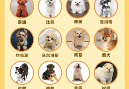 常见16种狗狗优缺点及喂养难度大全(宠物犬的种类有哪些)