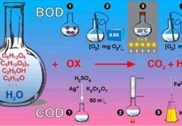 化学需氧量cod名词解释(cod是什么简称)