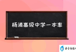 杨浦中学怎么样？(杨浦高级中学一本率)