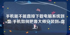 手机能不能直接下载电脑系统到u盘(手机如何把鲁大师安装到u盘上)