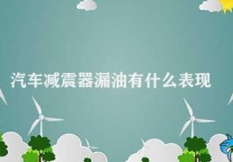 汽车减震器漏油有什么表现(汽车减震器漏油的表现)