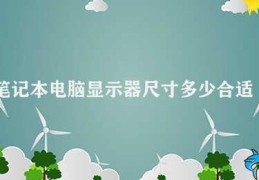 笔记本电脑显示器尺寸多少合适(如何选择适合自己的笔记本电脑显示器尺寸)