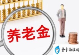 2022年养老金和退休金的区别(养老金2022年最新消息)