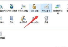IIS设置URL重写,实现页面的跳转的重定向方法