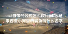 word自带的公式怎么改行间距(马来西亚小河里的扁鱼叫什么名字)