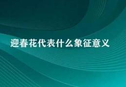 迎春花代表什么象征意义(春花蕴藉着深厚文化底蕴)