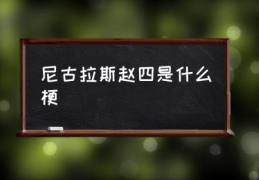 尼古拉斯赵四是什么梗(克拉克斯为什么叫赵四？)