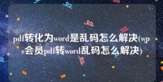 pdf转化为word是乱码怎么解决(wps会员pdf转word乱码怎么解决)