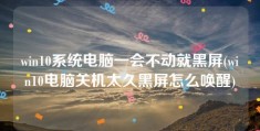 win10系统电脑一会不动就黑屏(win10电脑关机太久黑屏怎么唤醒)