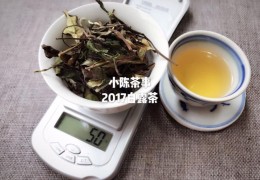 白茶有哪些(白茶的基本种类介绍)