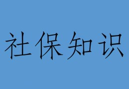 办理社保关系转移要哪些材料(转移社保需要提供哪些资料)